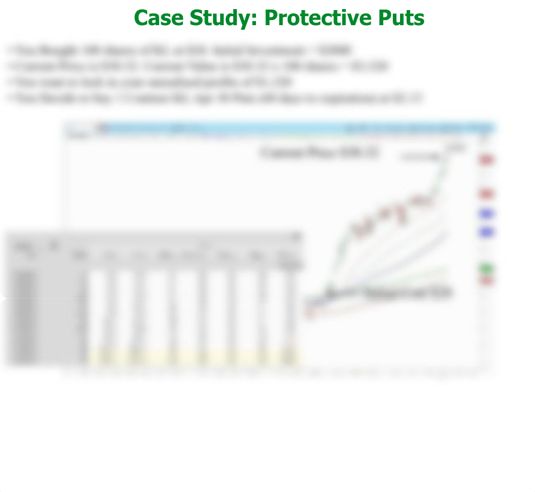 Lesson 5 Protiective Puts.pdf_dcngsrajvvc_page5