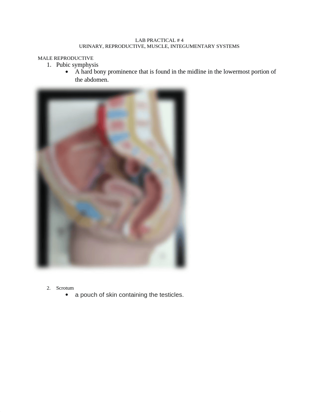 LAB PRACTICAL 4.docx_dcni739if03_page1