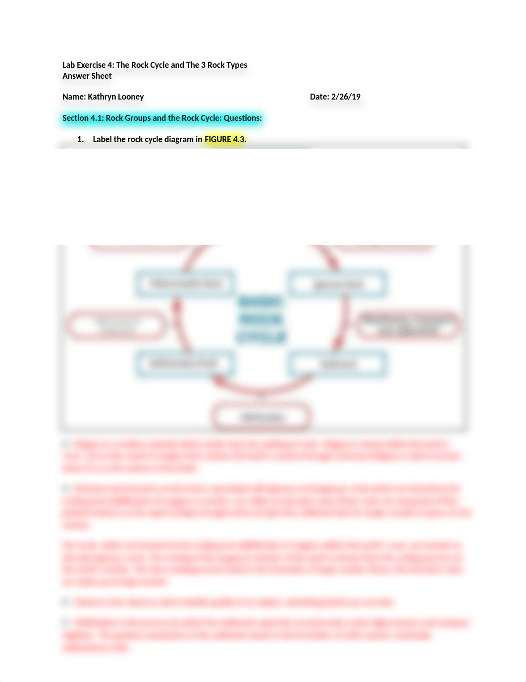 LAB EXERCISE 4 - 3 ROCK TYPES - BLANK QUESTION DOCUMENT.docx_dcnjkc5tpl0_page1