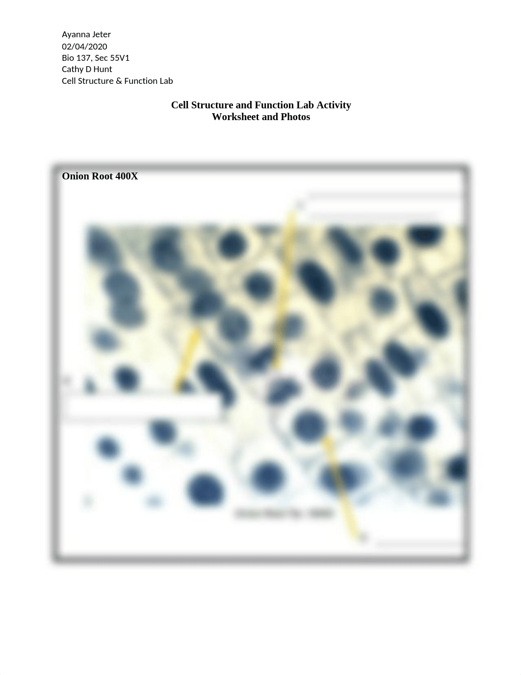 Cell Structure and Function Lab.docx_dcnqsymjibh_page1