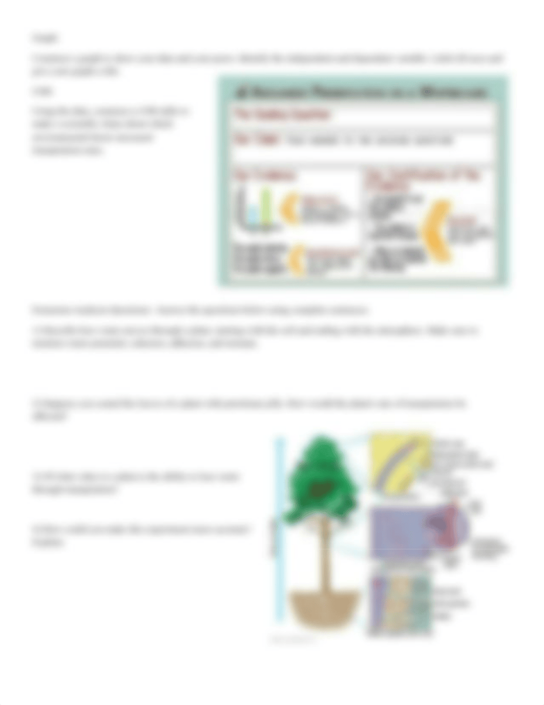 Transpiration Inquiry.docx_dcnr4xwy6ap_page2