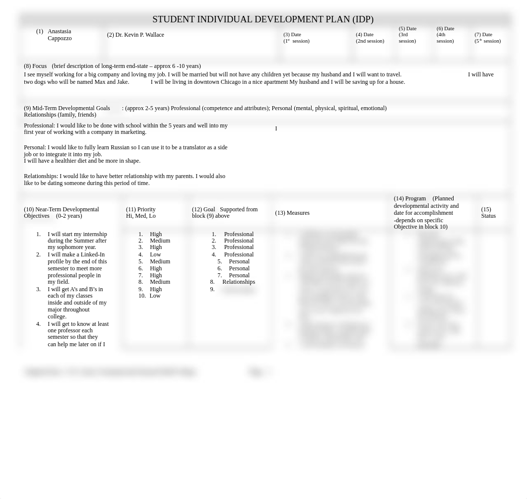 Blank Individual Development Plan (IDP) Form.doc_dcnwv852gb4_page1