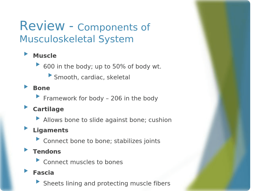 Musculoskeletal Assessment_dcny46m7rza_page2