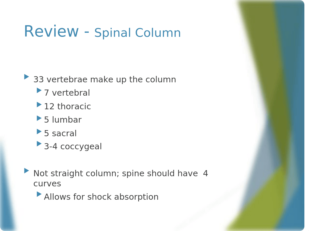 Musculoskeletal Assessment_dcny46m7rza_page5