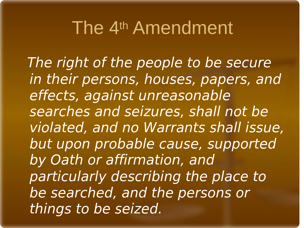 IS 391 Search and Seizure.pptx_dco7g9yr450_page3