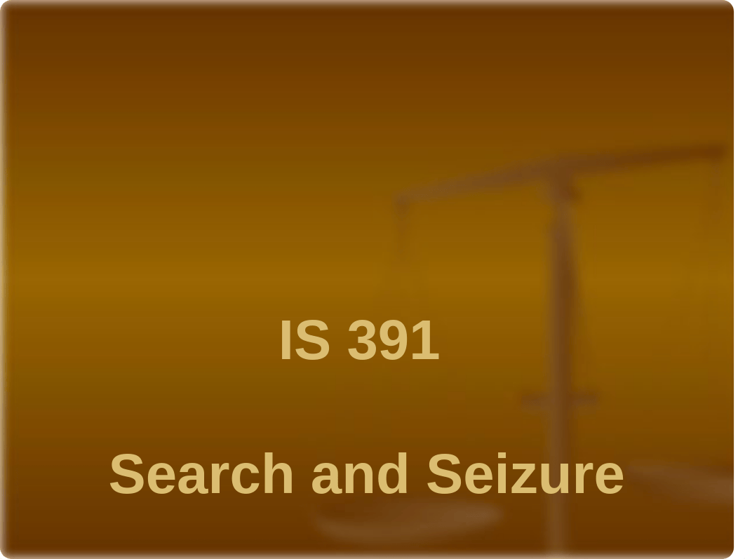 IS 391 Search and Seizure.pptx_dco7g9yr450_page1