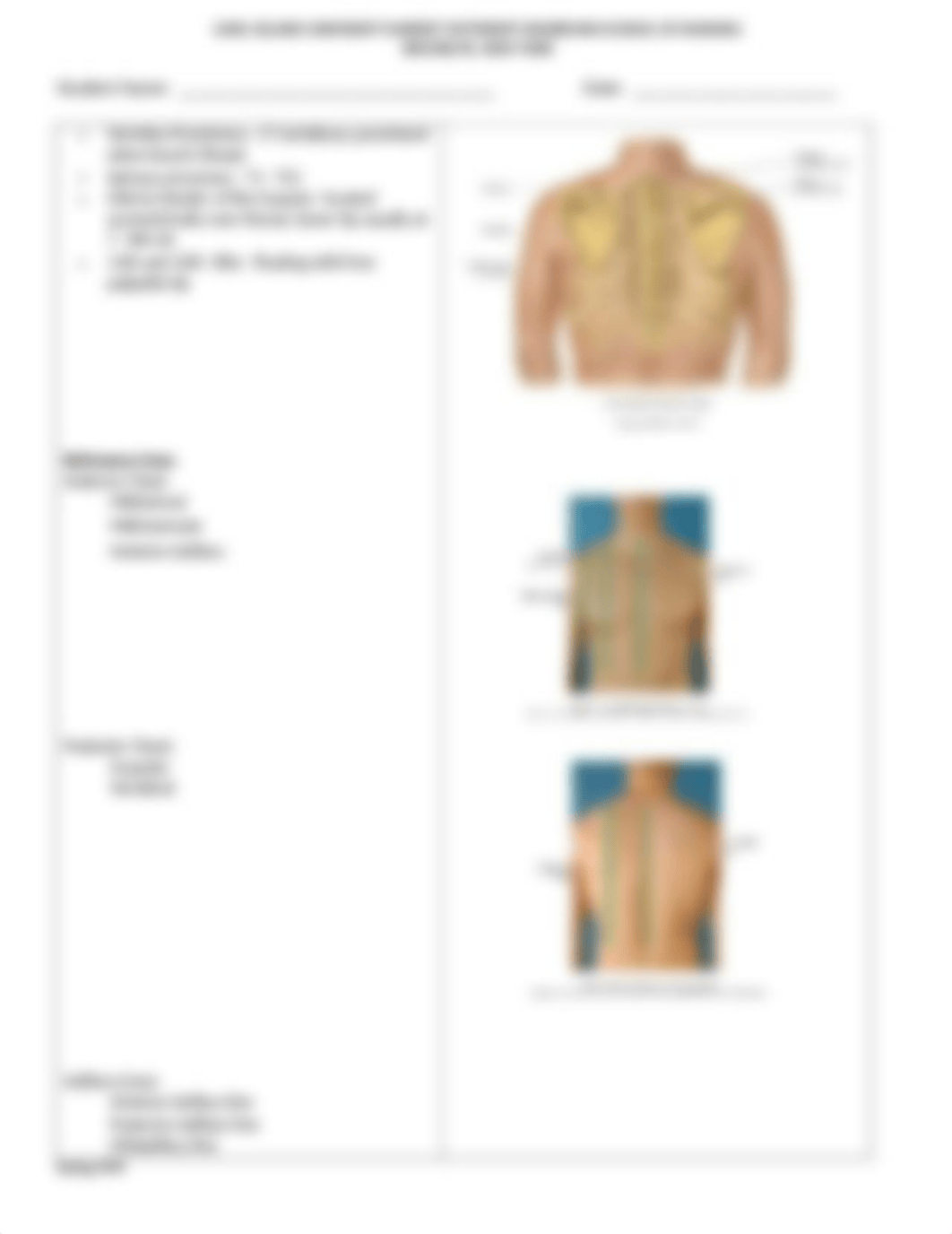 NUR 220L Week 3 Revised Respiratory Lungs and Thorax Assessment - STUDENT VERSION.doc_dco9mi9d3cv_page3