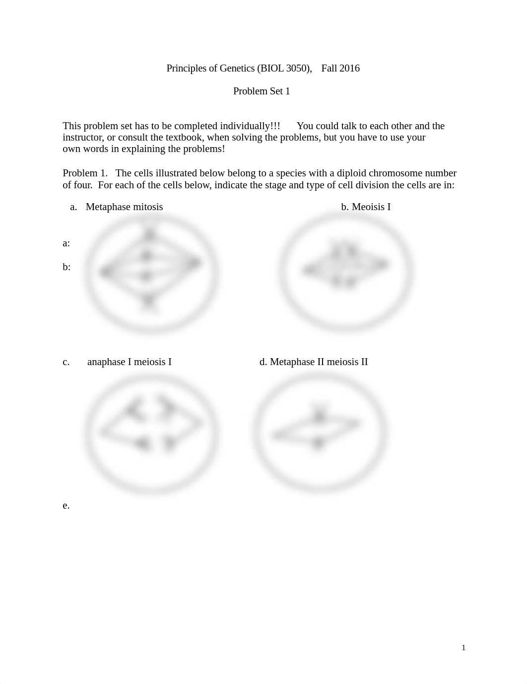 genetics problem set 1_dcofdr4jaub_page1