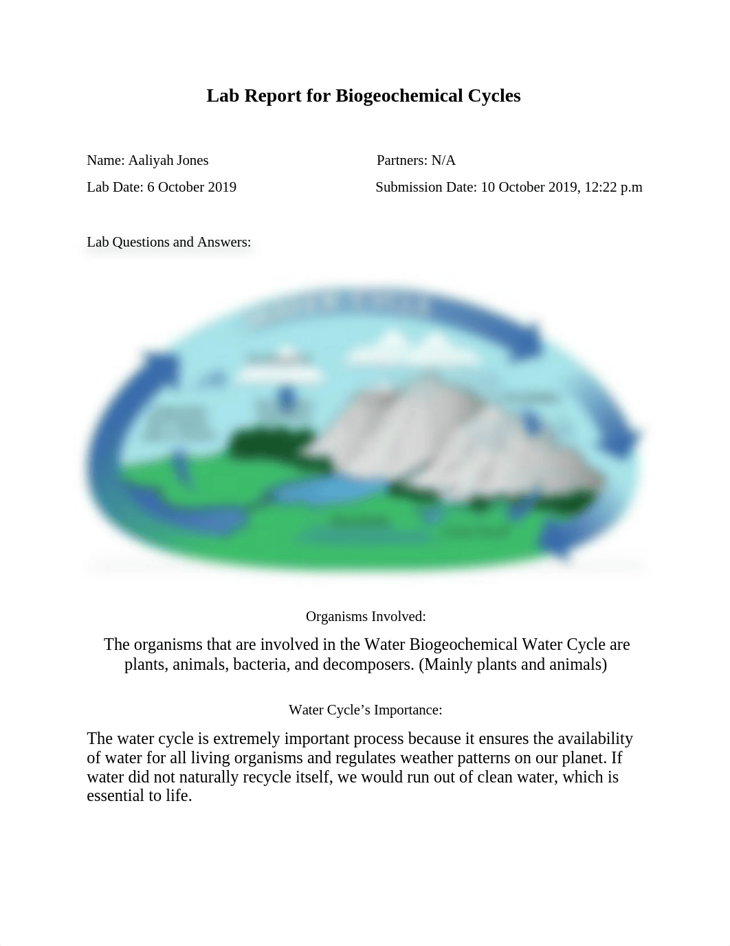 Lab Report for Biogeochemical Cycles.docx_dcolxy0ec7a_page1