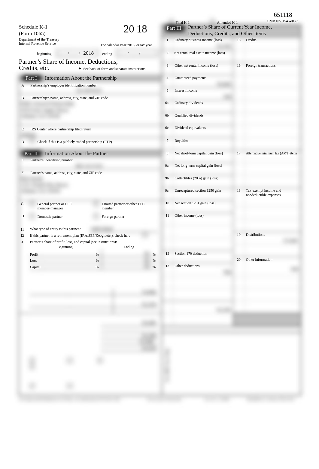 2018 Schedule K-1 (Form 1065).pdf_dcooc1rkw5l_page1