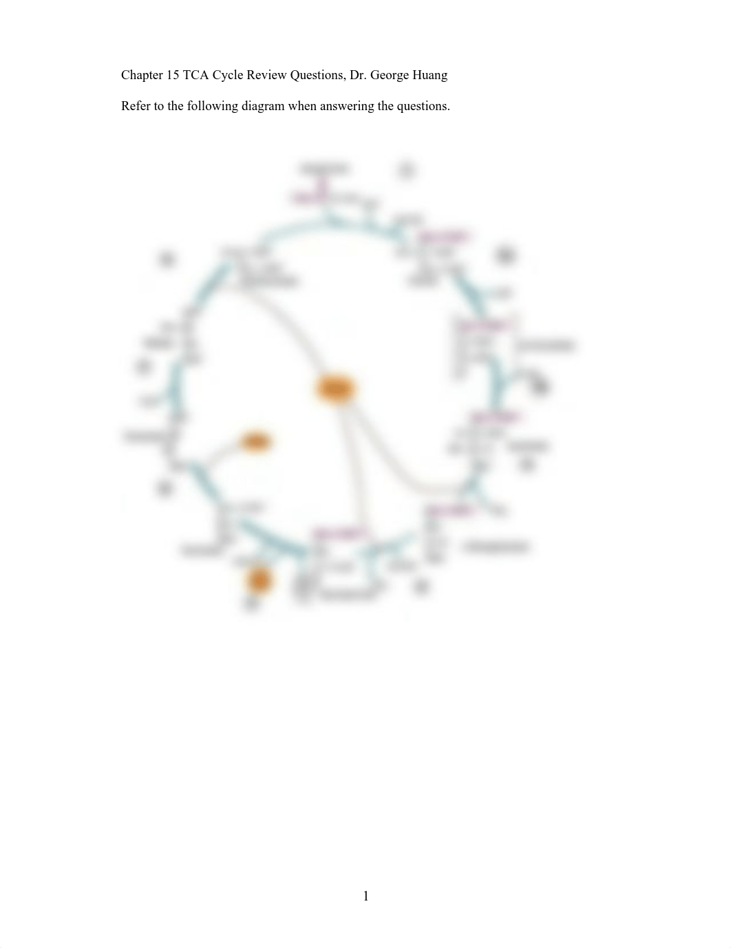 Chapter 15 TCA Cycle review questions_dcos5mzqxd6_page1