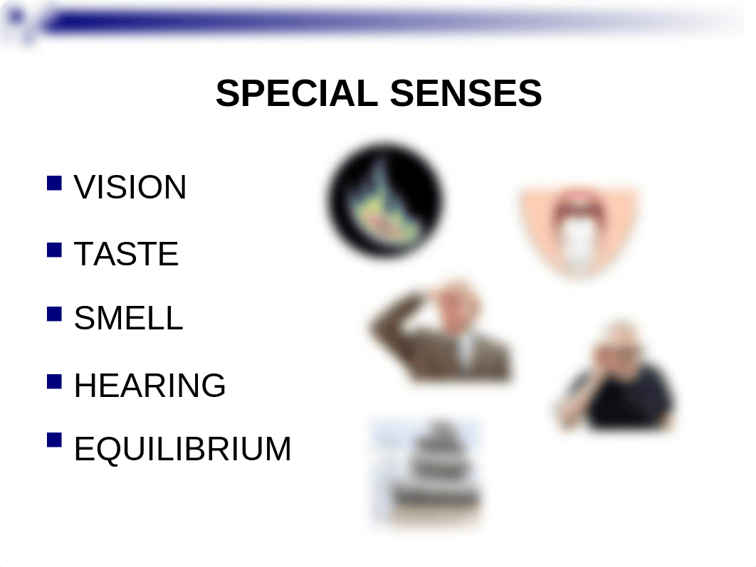 CHAPTER 15 - SPECIAL SENSES.ppt_dcot7boyn38_page2