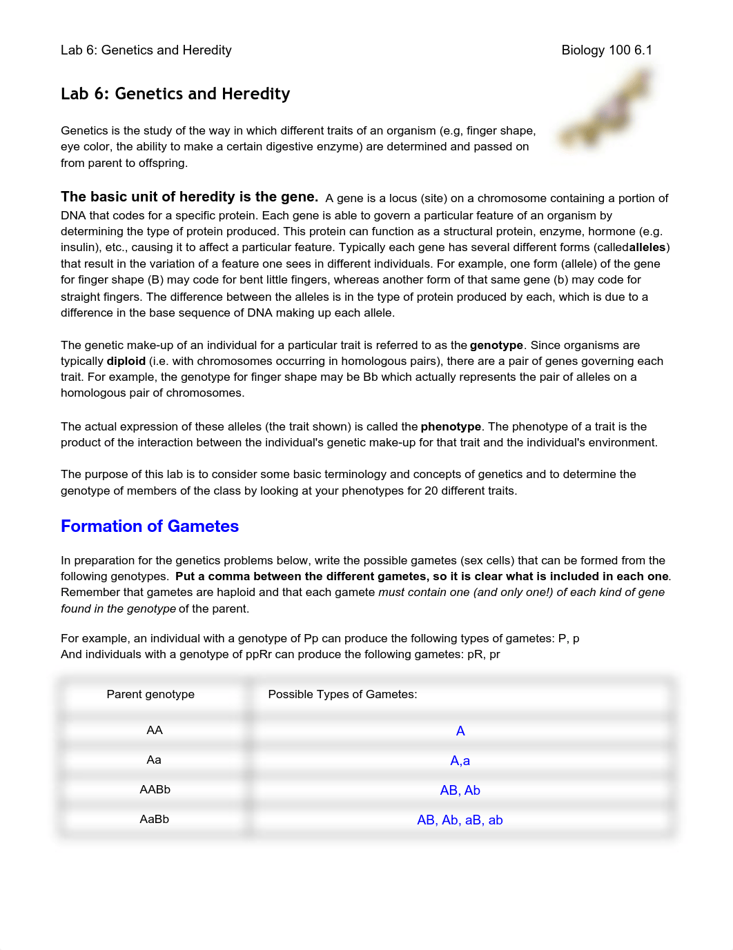 Ibarra Lab 6_ Genetics and Heredity .pdf_dcoxtzqj76i_page1