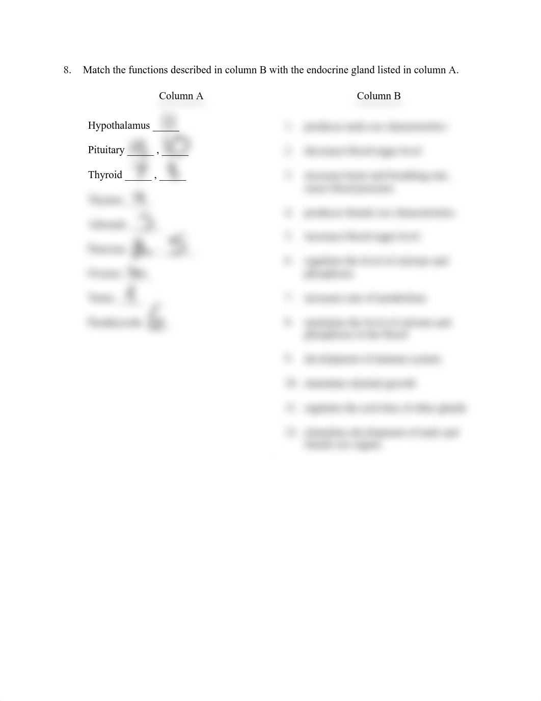 Endocrine System Worksheet.pdf_dcp60kz1igx_page3