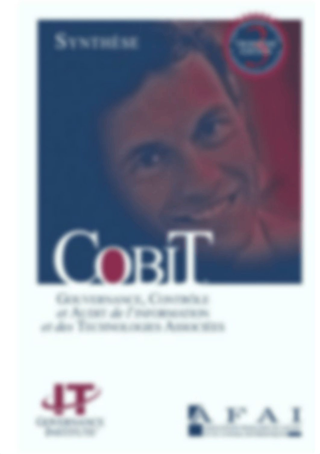 COBIT synthese_dcp6sbs7pqp_page1