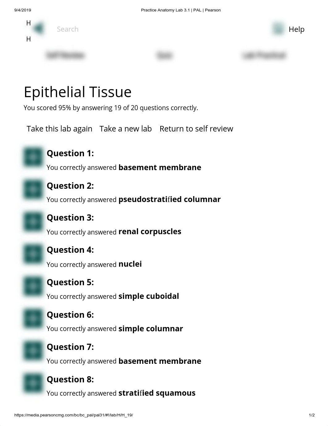 Practice Anatomy Lab 3.1 _ PAL _ Pearson Lab 2.pdf_dcpcvqp4s0a_page1