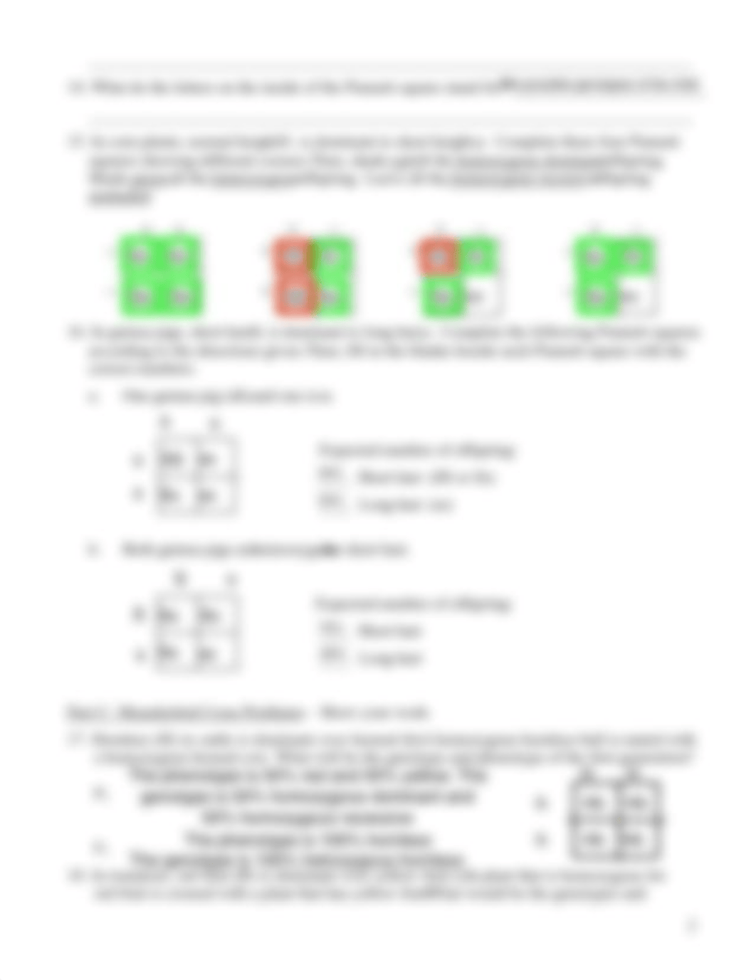 Monohybrid-Cross-Homework-3.pdf_dcpl0tb1vo3_page2