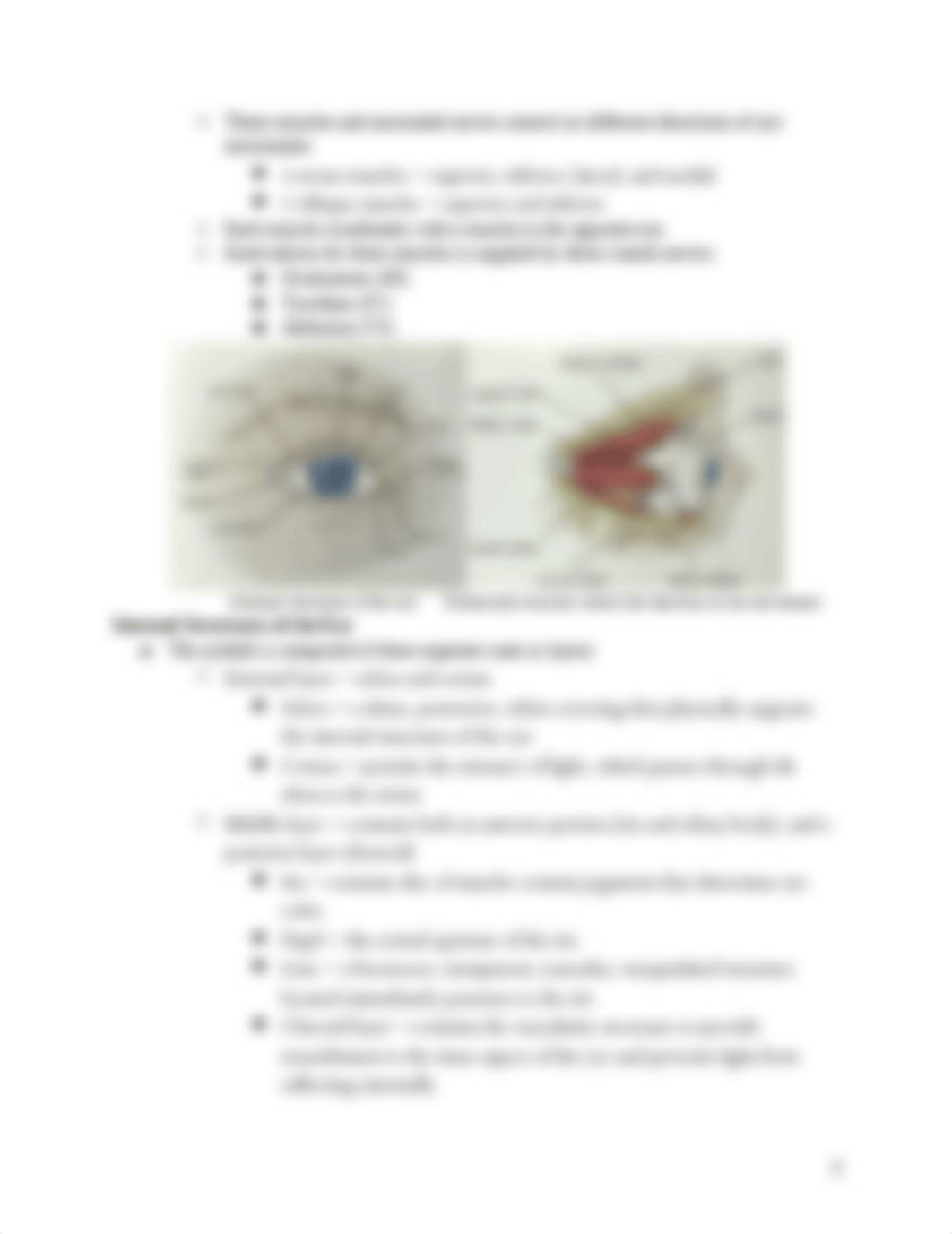 Ch 16 Assessing Eyes_dcpxt8v4ptu_page2