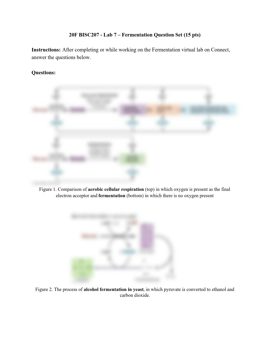 20F BISC207 - Lab 7 - Fermentation question set.pdf_dcpy1mth5rj_page1