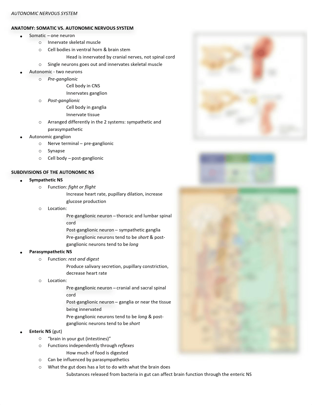 Notes - neuro II_dcpysj2eact_page1