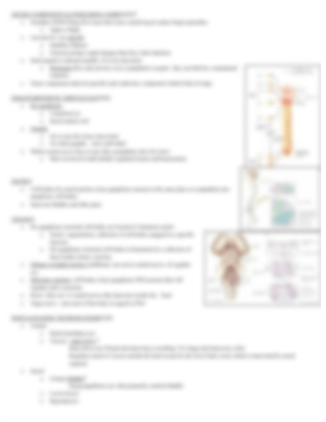 Notes - neuro II_dcpysj2eact_page3