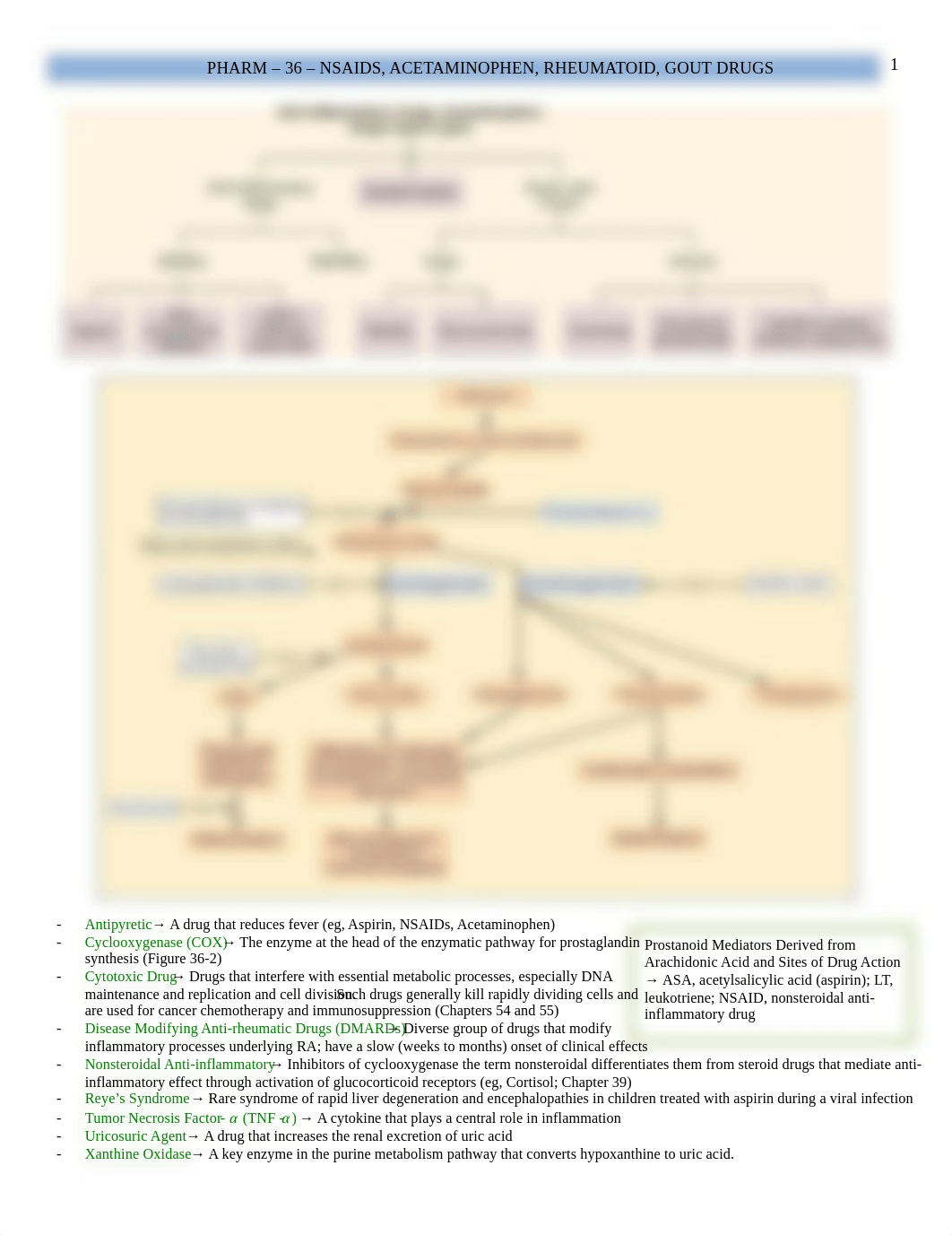 Pharm - 36 - NSAIDs, Gout, Etc - BL_dcq37rxgr99_page1