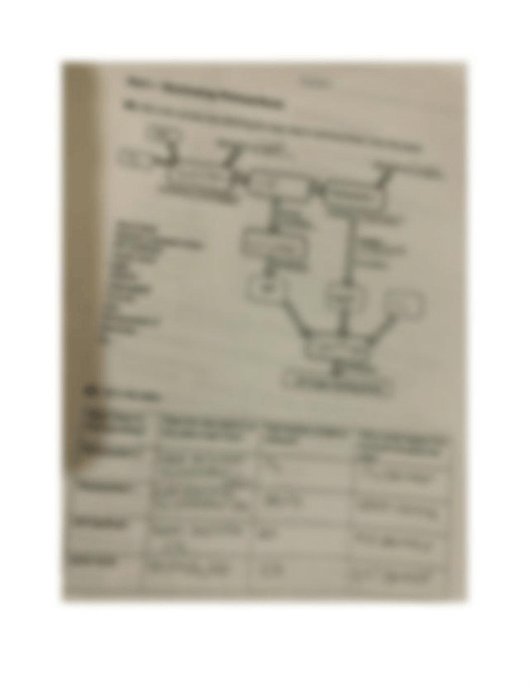 Part 1 illuminating photosynthesis_dcqkycwz8ri_page1