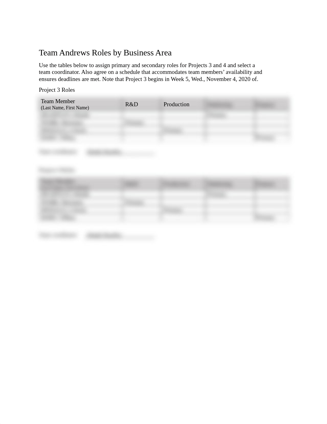 Team_Andrews_Capsim WorkPlan_Project 3 (1).docx_dcqn0sivrif_page1