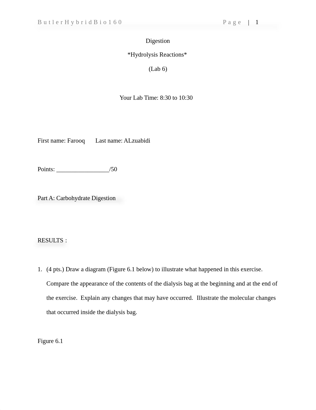 Lab#6 report .docx_dcqnd5or0s4_page1