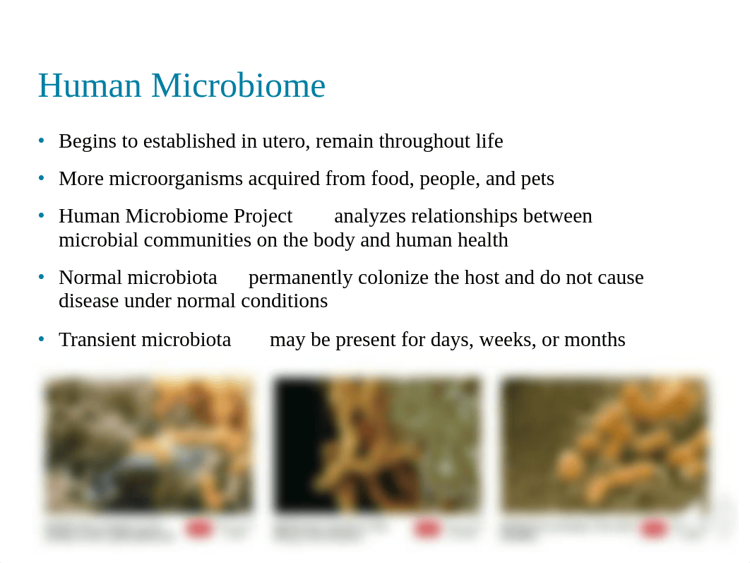 Ch 16 - Disease and Epidemiology.pdf_dcqp0mn47wr_page4