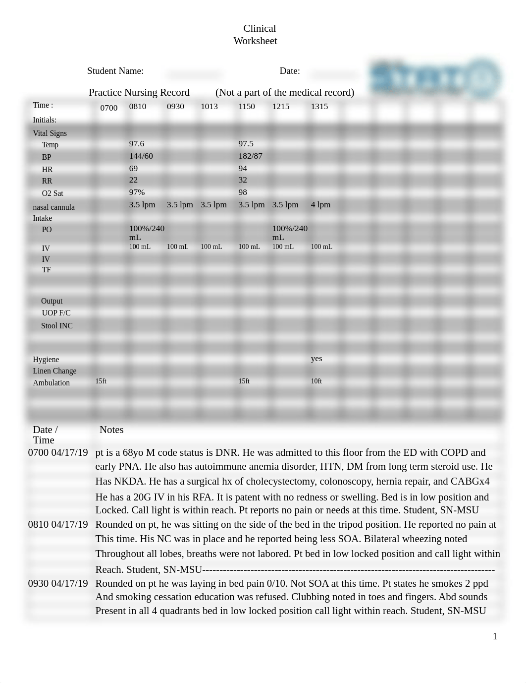 Care Plan Student Patient Example.docx_dcr5oh2mv0u_page1