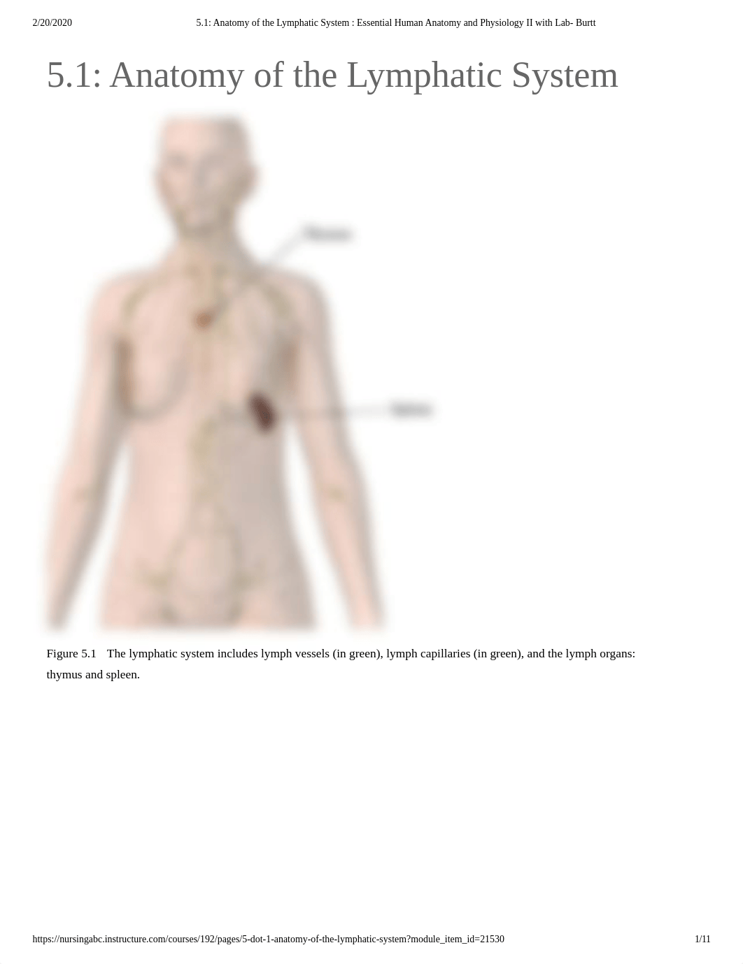 5.1_ Anatomy of the Lymphatic System _ Essential Human Anatomy and Physiology II with Lab- Burtt.pdf_dcrh0joxafr_page1