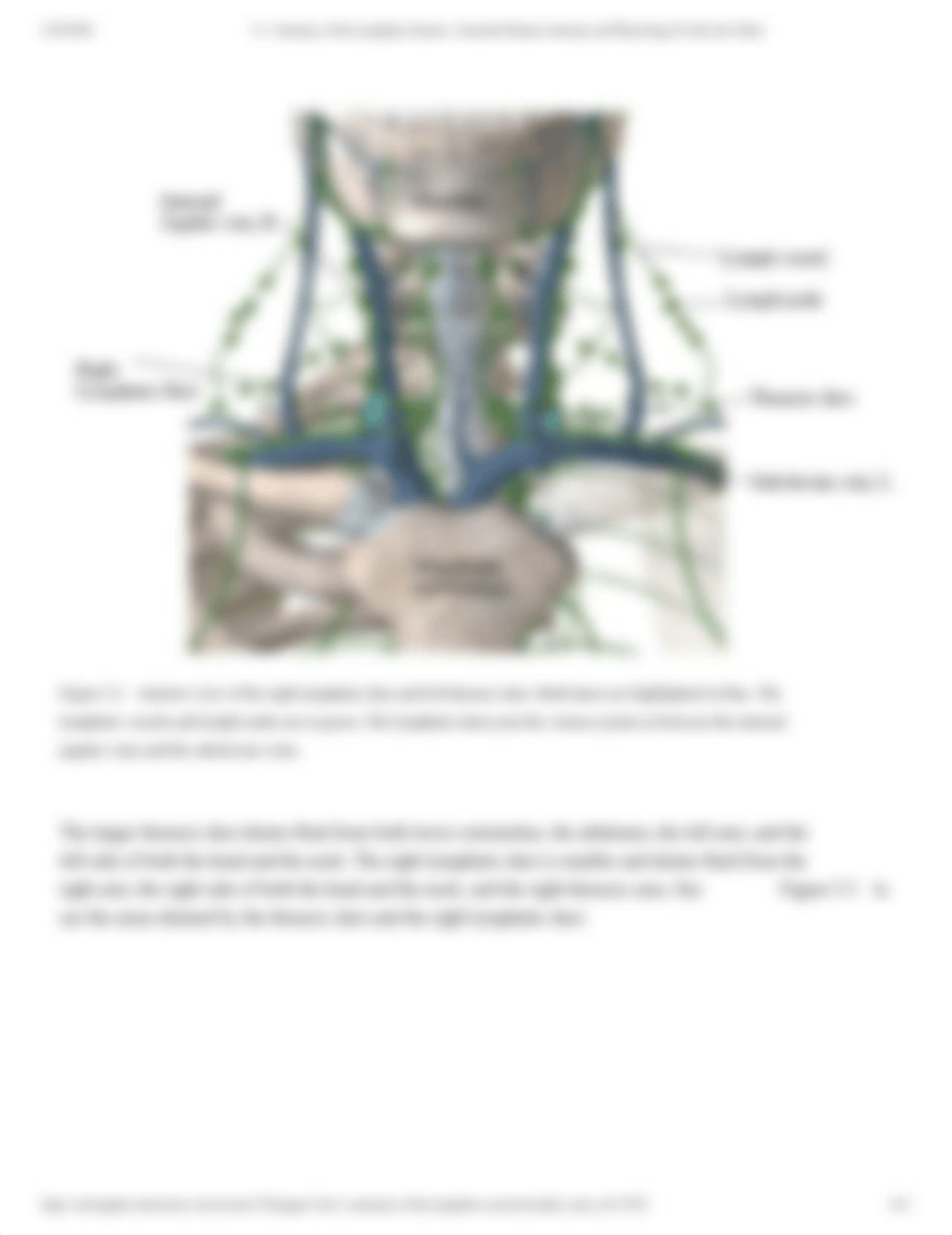 5.1_ Anatomy of the Lymphatic System _ Essential Human Anatomy and Physiology II with Lab- Burtt.pdf_dcrh0joxafr_page4