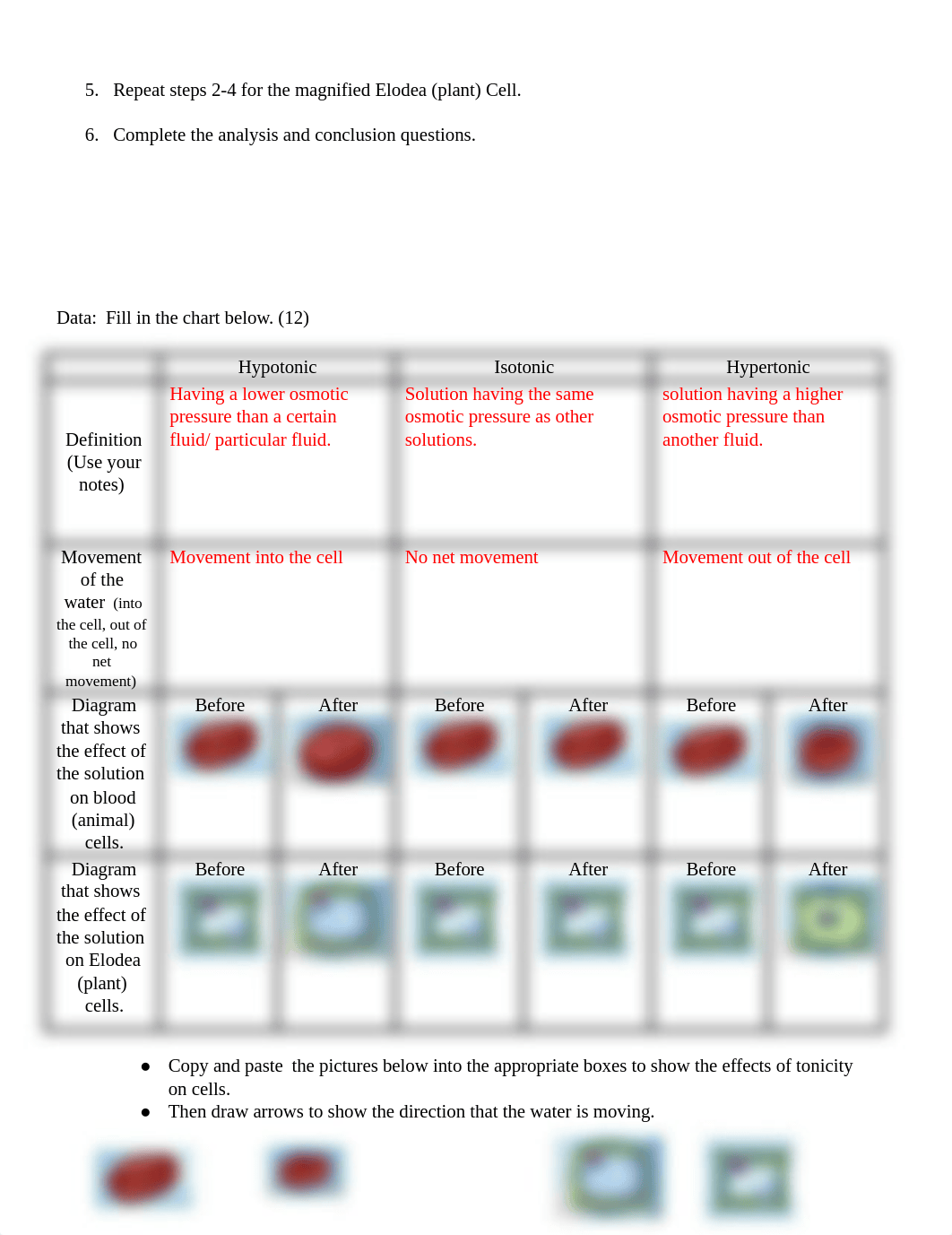 Tonicity Lab-Online_dcs5jy95nn7_page2