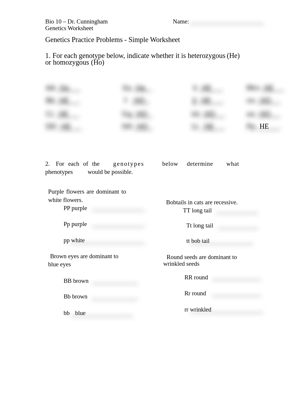 homozygous-heterozygous-worksheet-1 (1).docx_dcs5w5yhoex_page1