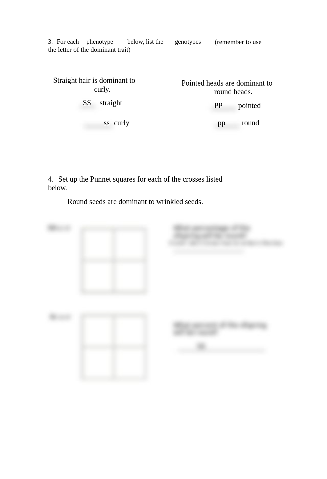 homozygous-heterozygous-worksheet-1 (1).docx_dcs5w5yhoex_page2