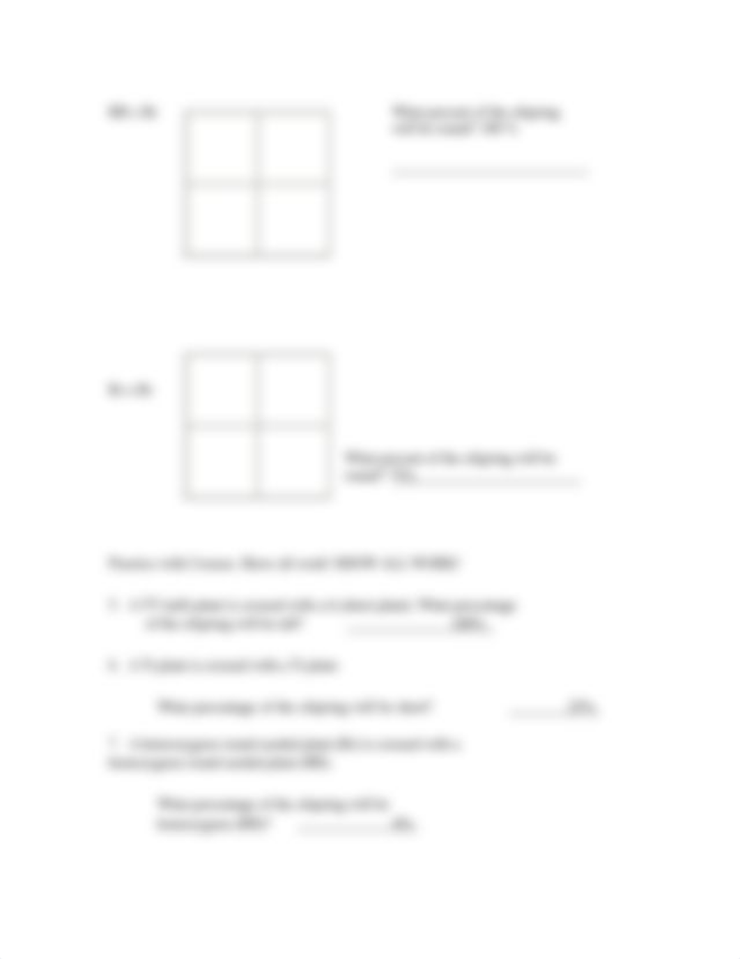 homozygous-heterozygous-worksheet-1 (1).docx_dcs5w5yhoex_page3