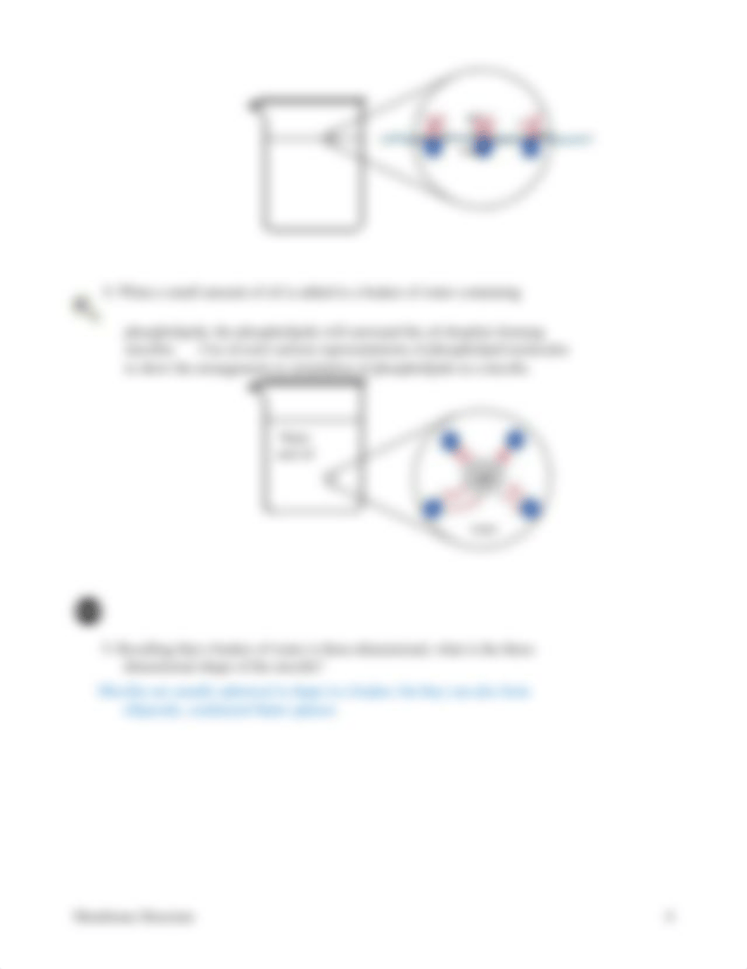 Membrane Structure Cell Inquiry.docx_dcsftg3xwcl_page4