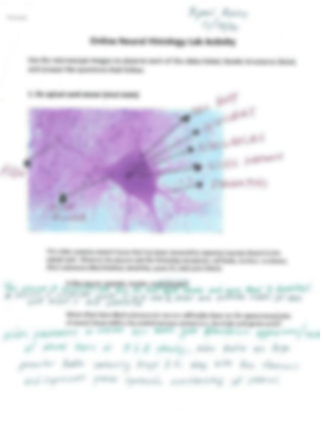 Histology Lab (completed).pdf_dcsyb88tofz_page1