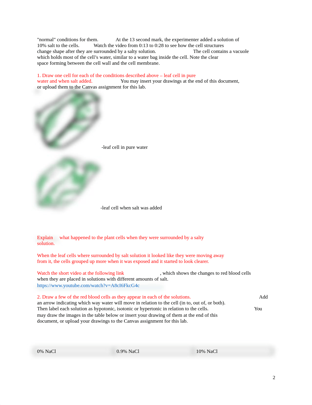 Lab 3 - Diffusion & Osmosis.docx_dct1tegm3z5_page2