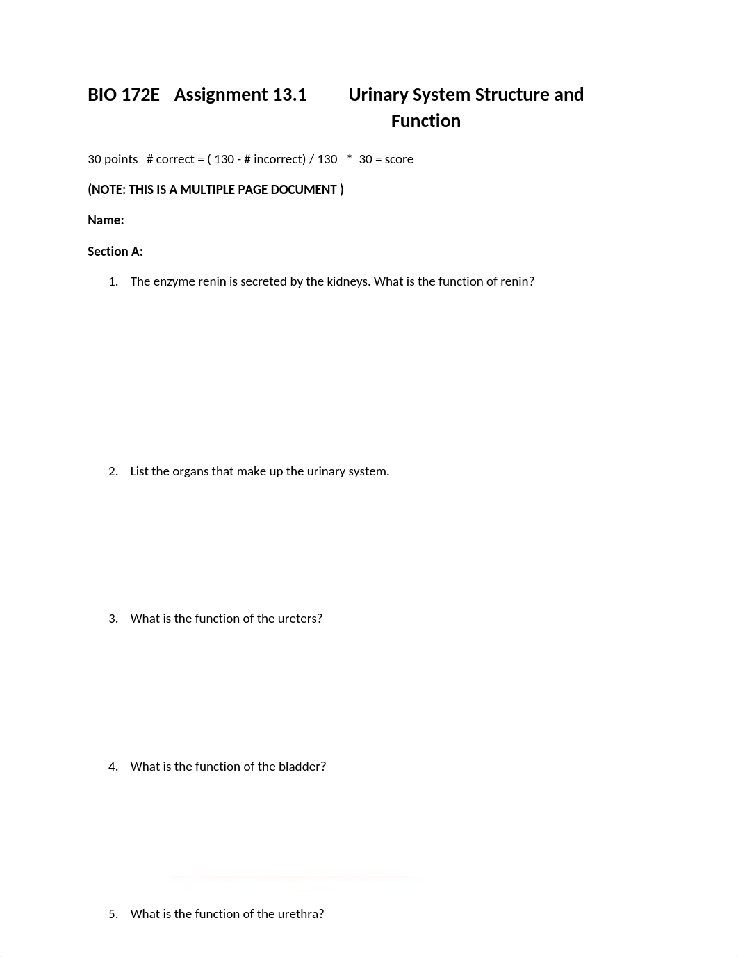 ASSN 13.1 Urinary System Structure and Function KEY.docx_dct494kxh3u_page1