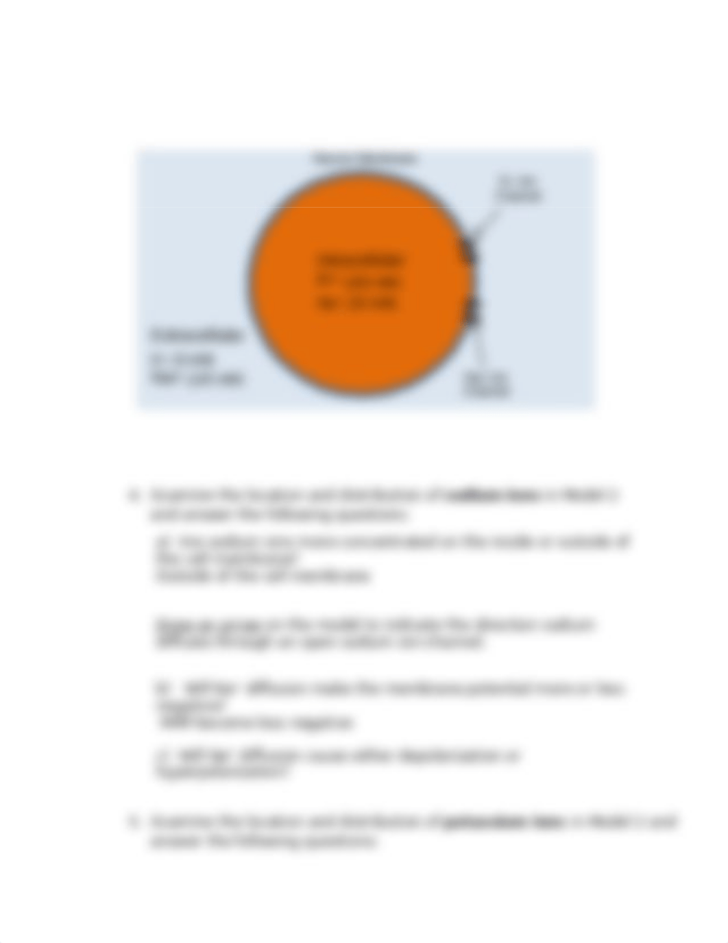 Nerve Signals Ss (2).docx_dct6e59i44h_page3