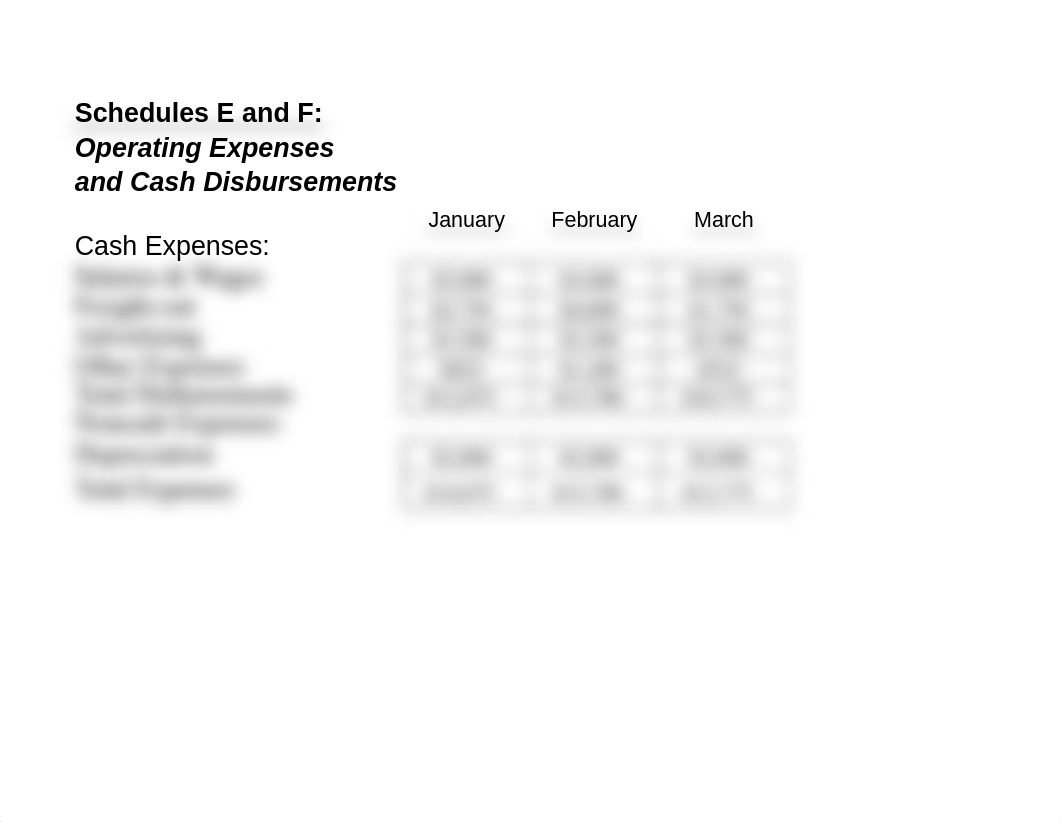 Exam 4 Budget Problem 1_dctbcsc5ni2_page3