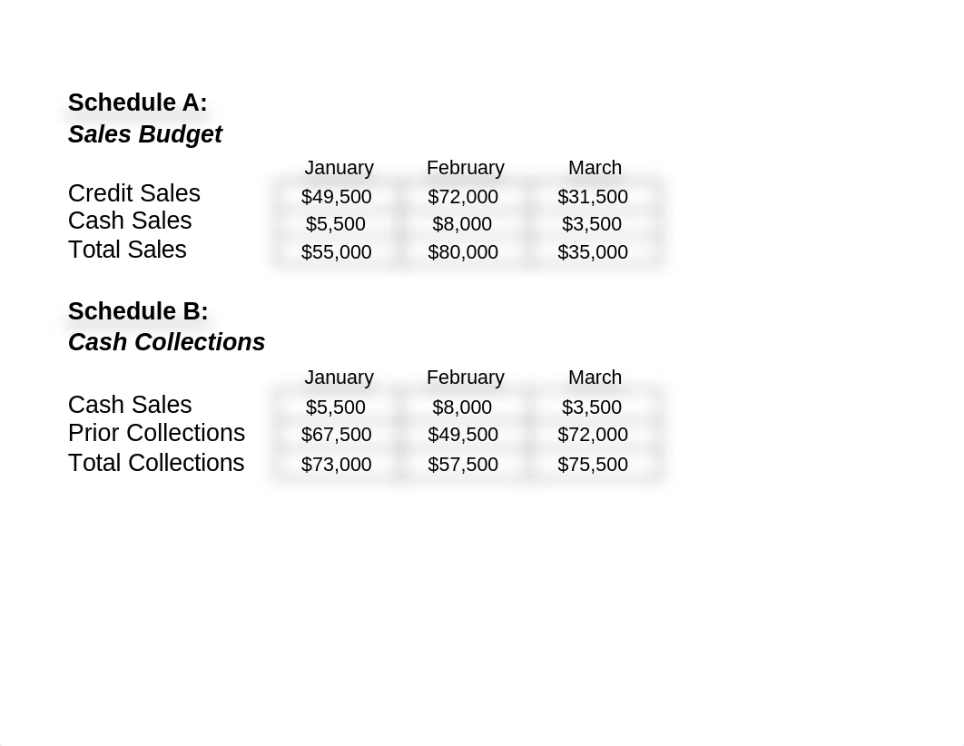 Exam 4 Budget Problem 1_dctbcsc5ni2_page1