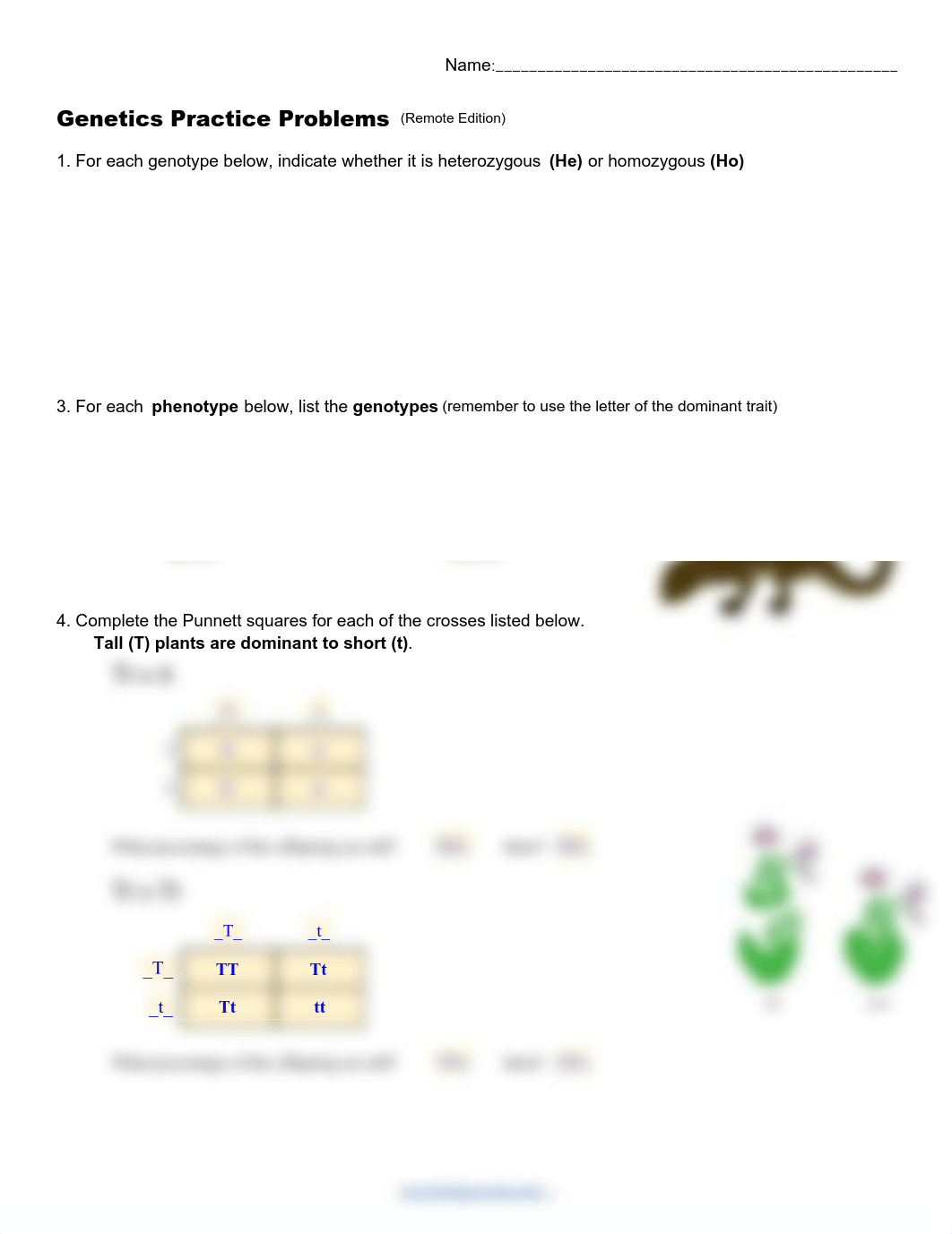 Copy of Practice Genetics Problems.pdf_dctbrk8mp0k_page1