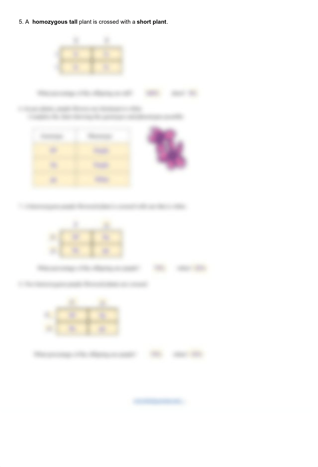 Copy of Practice Genetics Problems.pdf_dctbrk8mp0k_page2