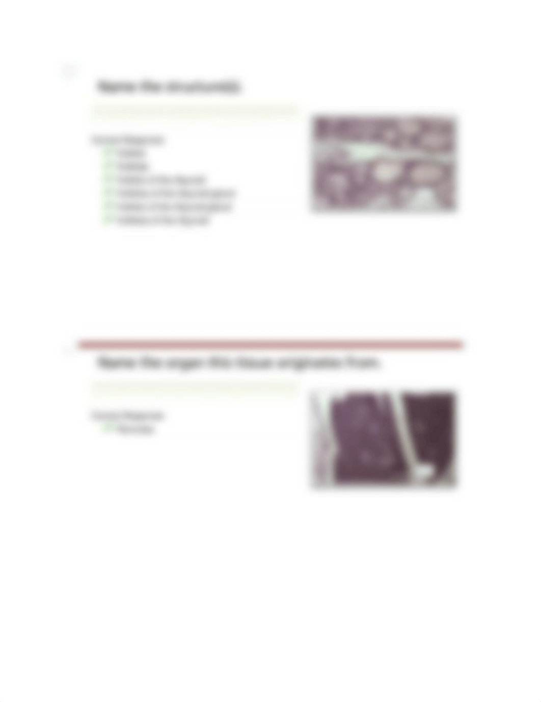 histology.docx_dctg81i1dty_page3