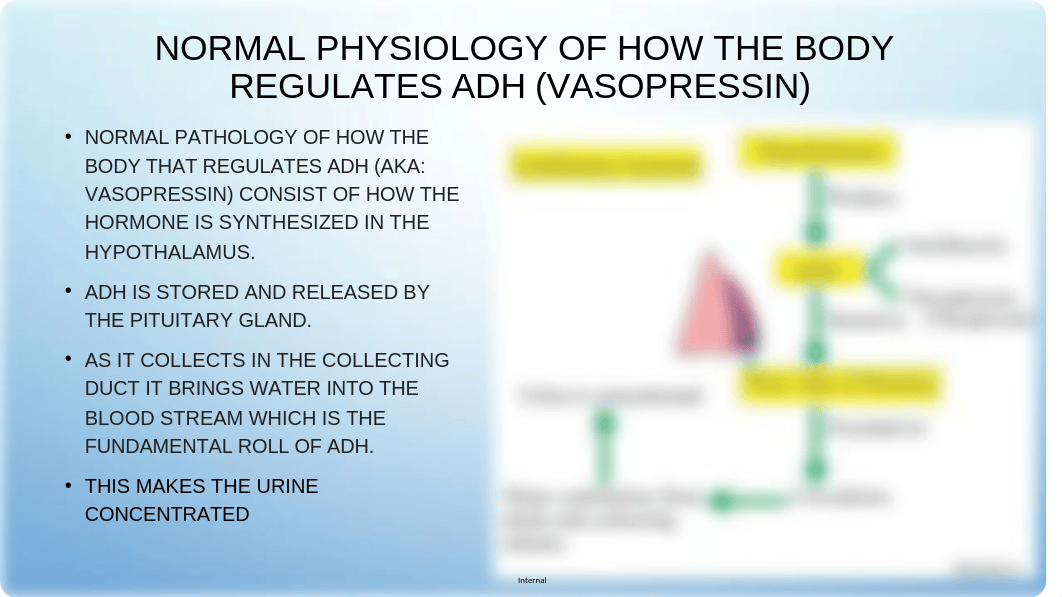 DIABETES INSIPIDUS PPT.ppt_dctil78bibj_page3