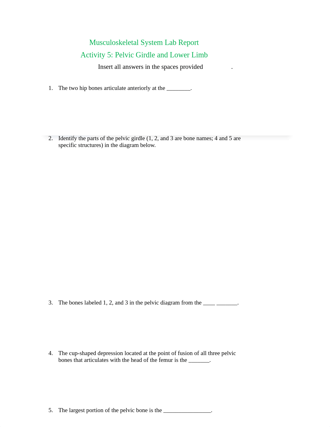 MSLR Activity 5 Pelvic Girdle:Lower Limb .docx_dctt5gippet_page1