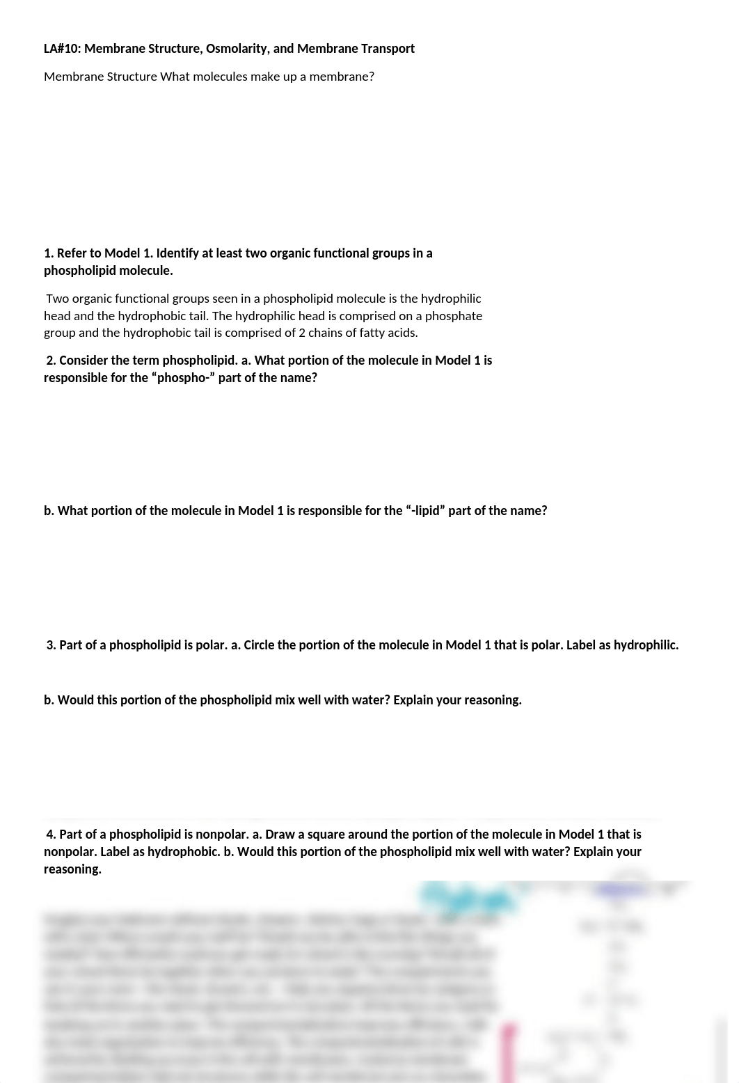 LA#10 Membrane Structure, Osmolarity, and Membrane Transport Fall 2019.docx_dcu4jmhx263_page1